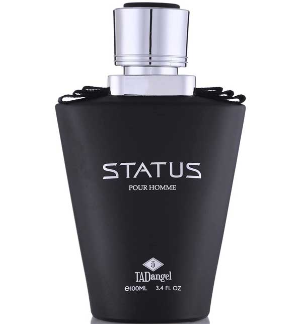 Status Homme by Tad Angel