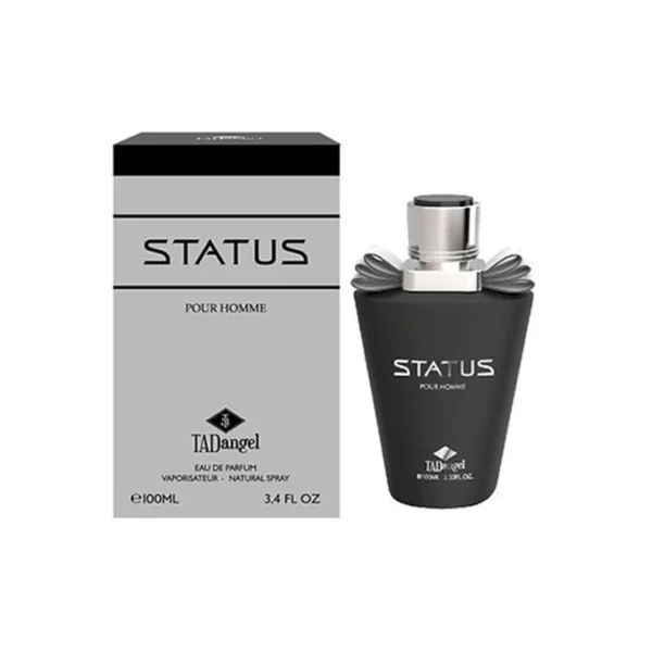 Status Homme by Tad Angel