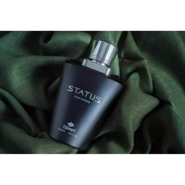 Status Homme by Tad Angel